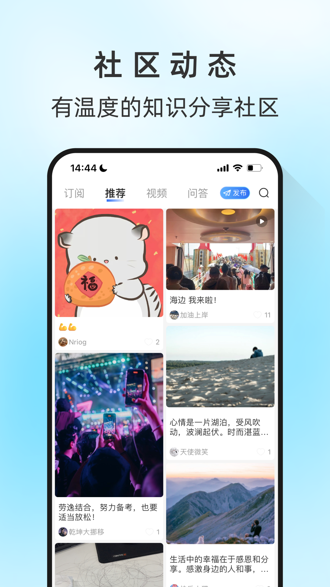 马兰花开截图5