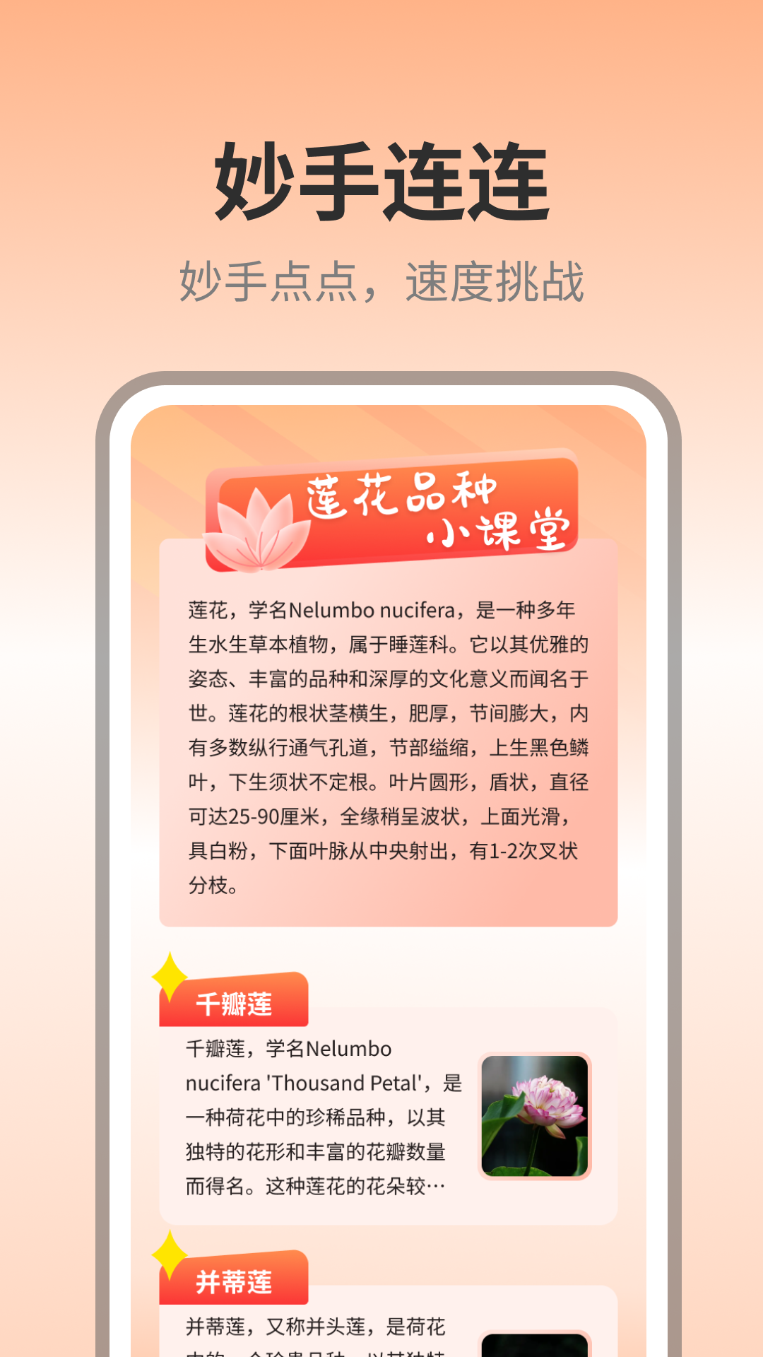 妙手连连