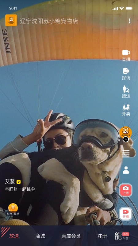 龙平台影视截图3
