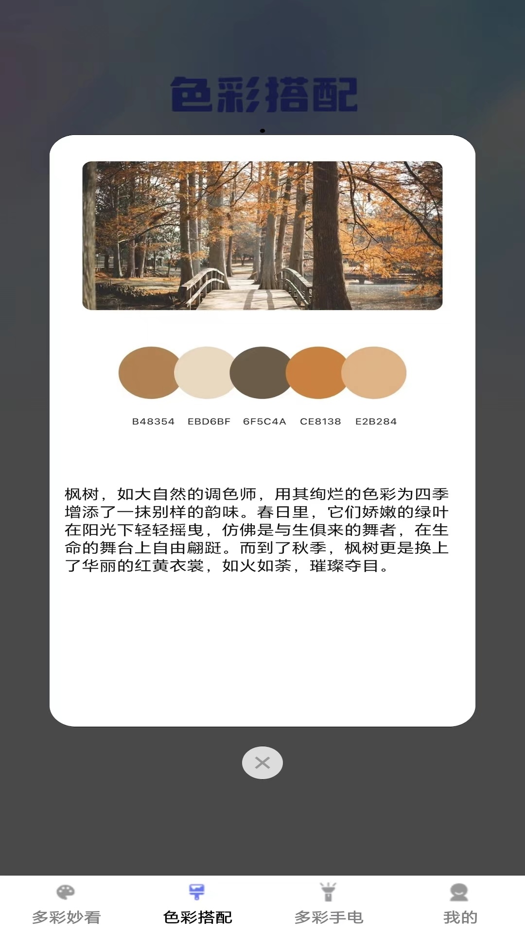 多彩妙看截图4