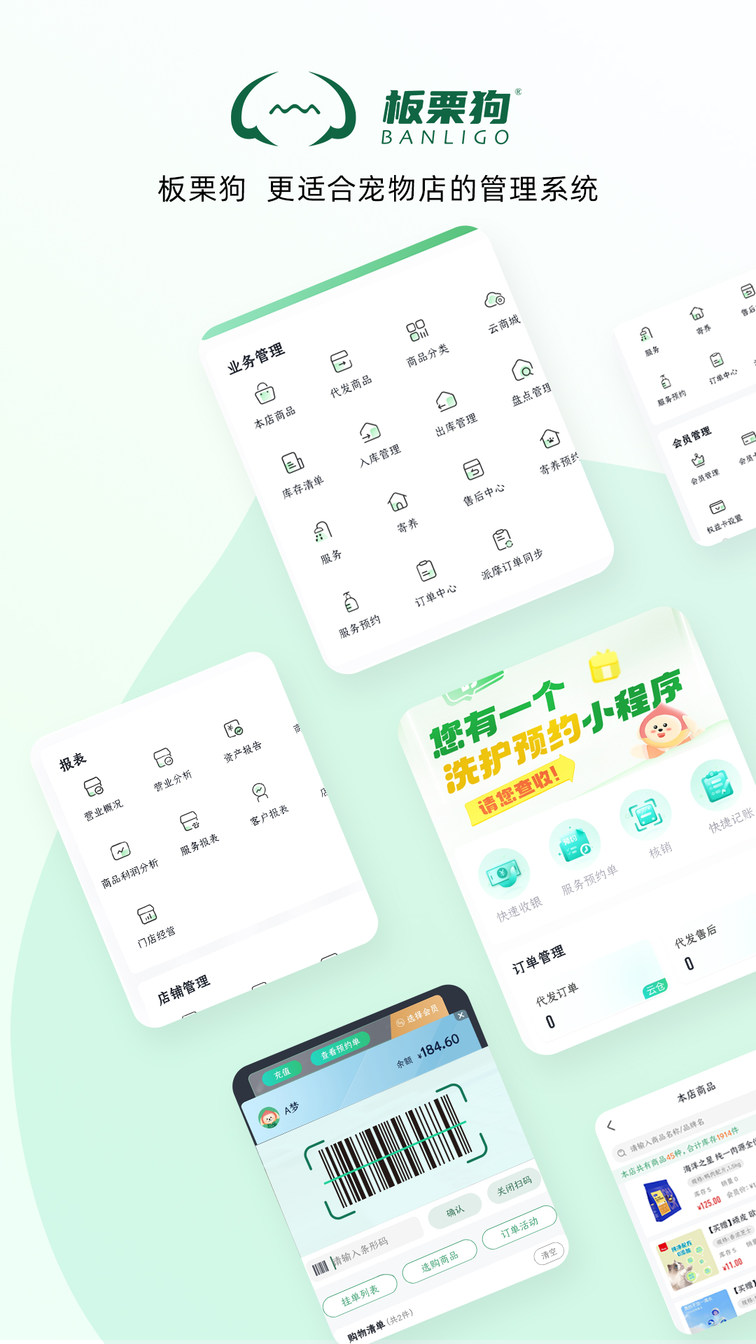 板栗狗截图1