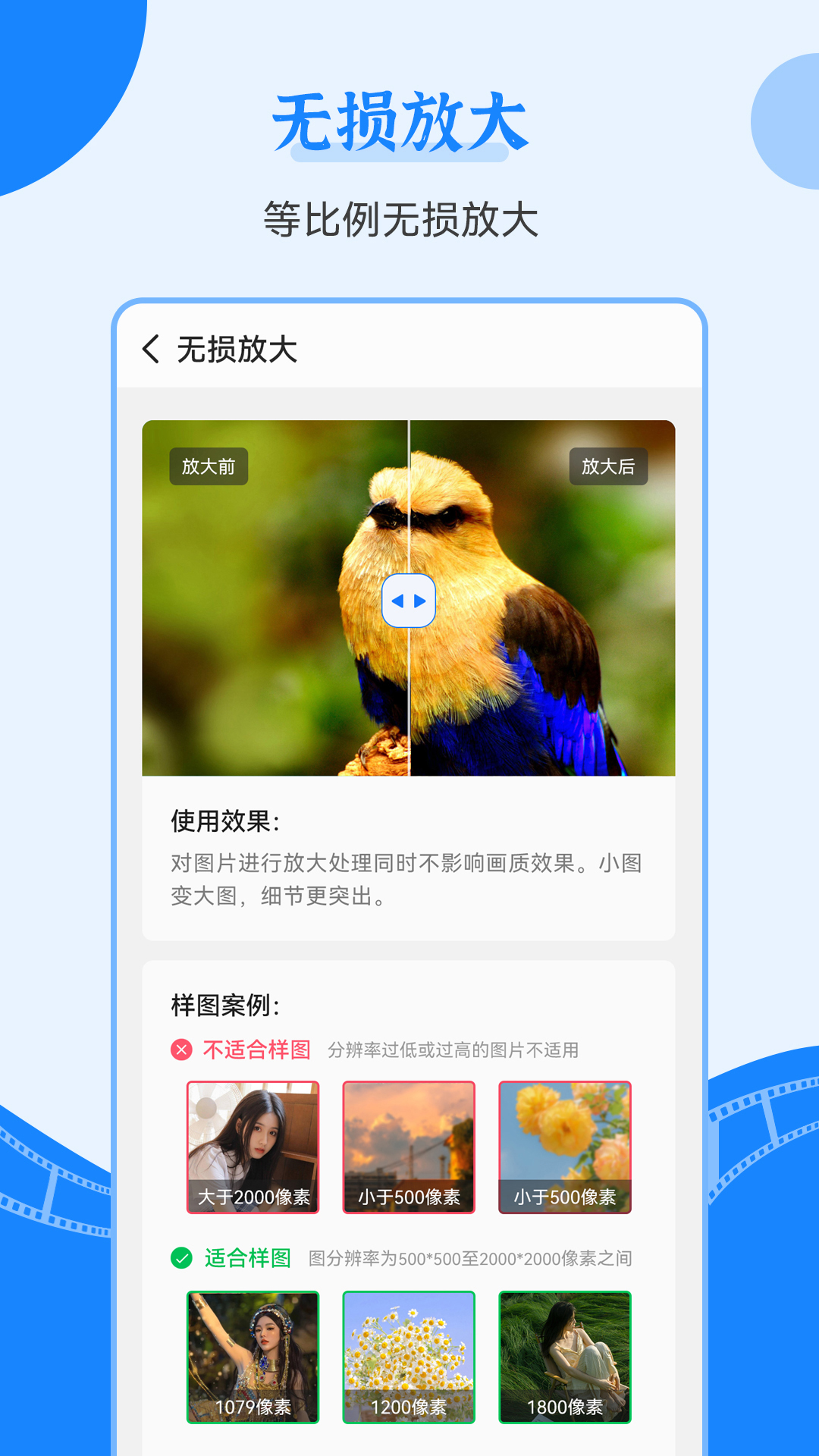老照片修复王