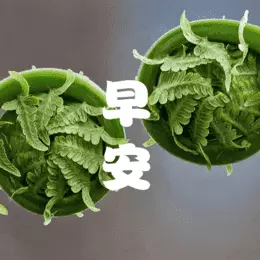 成友早安