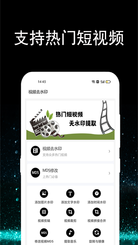 视频提取大师