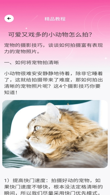 千颜秀截图4