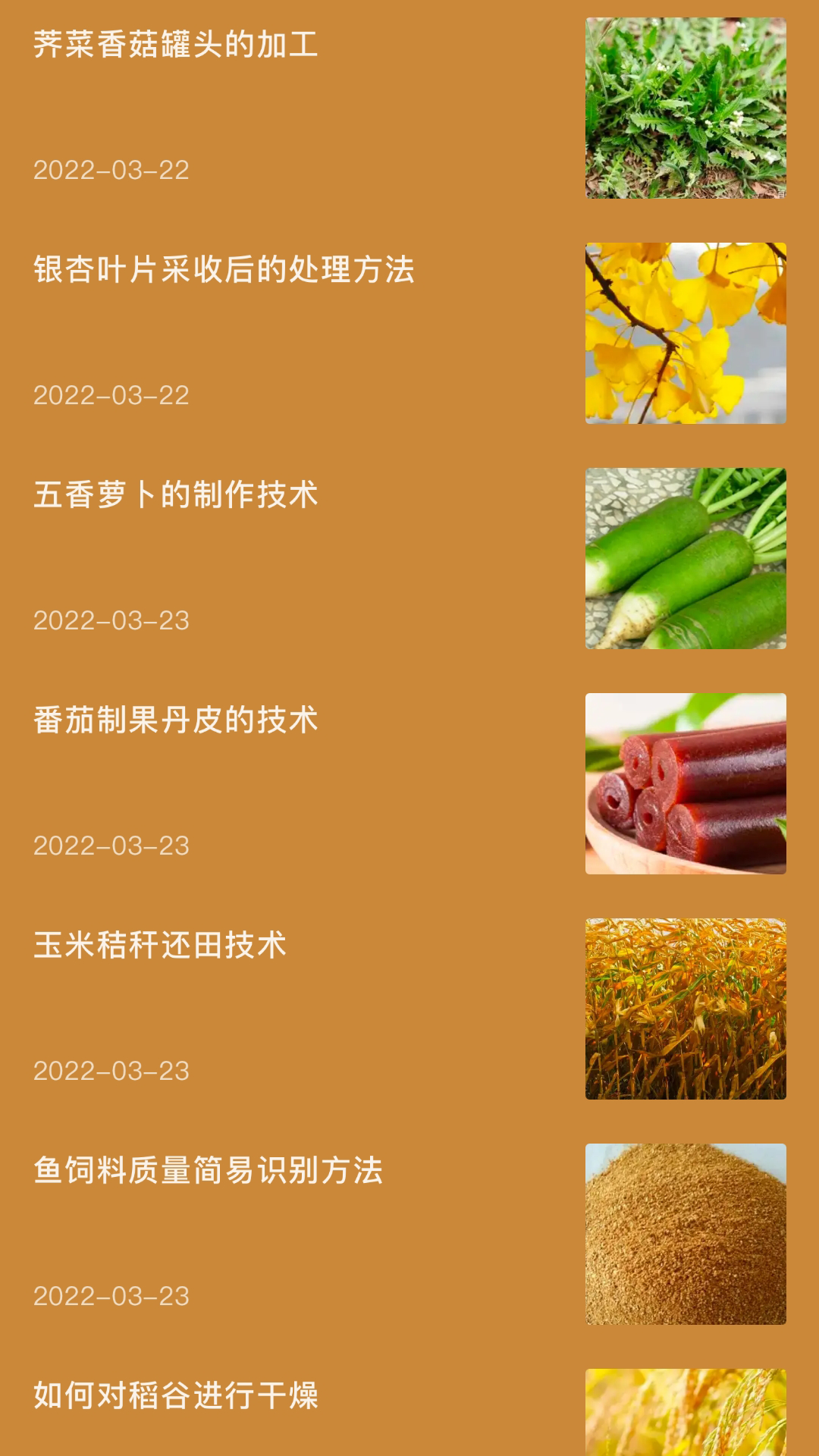 田园小院子截图2