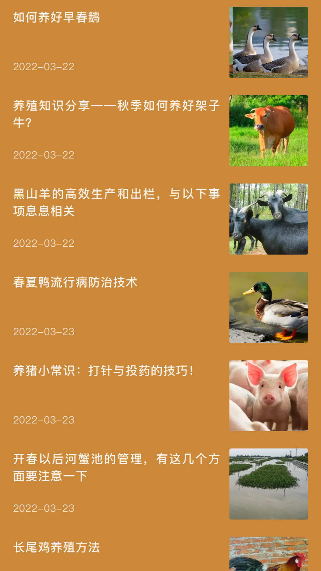 田园小院子截图1