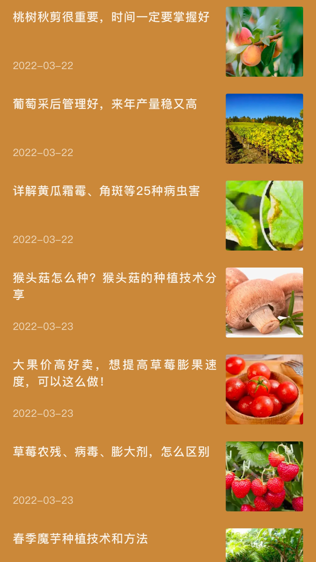 田园小院子截图3