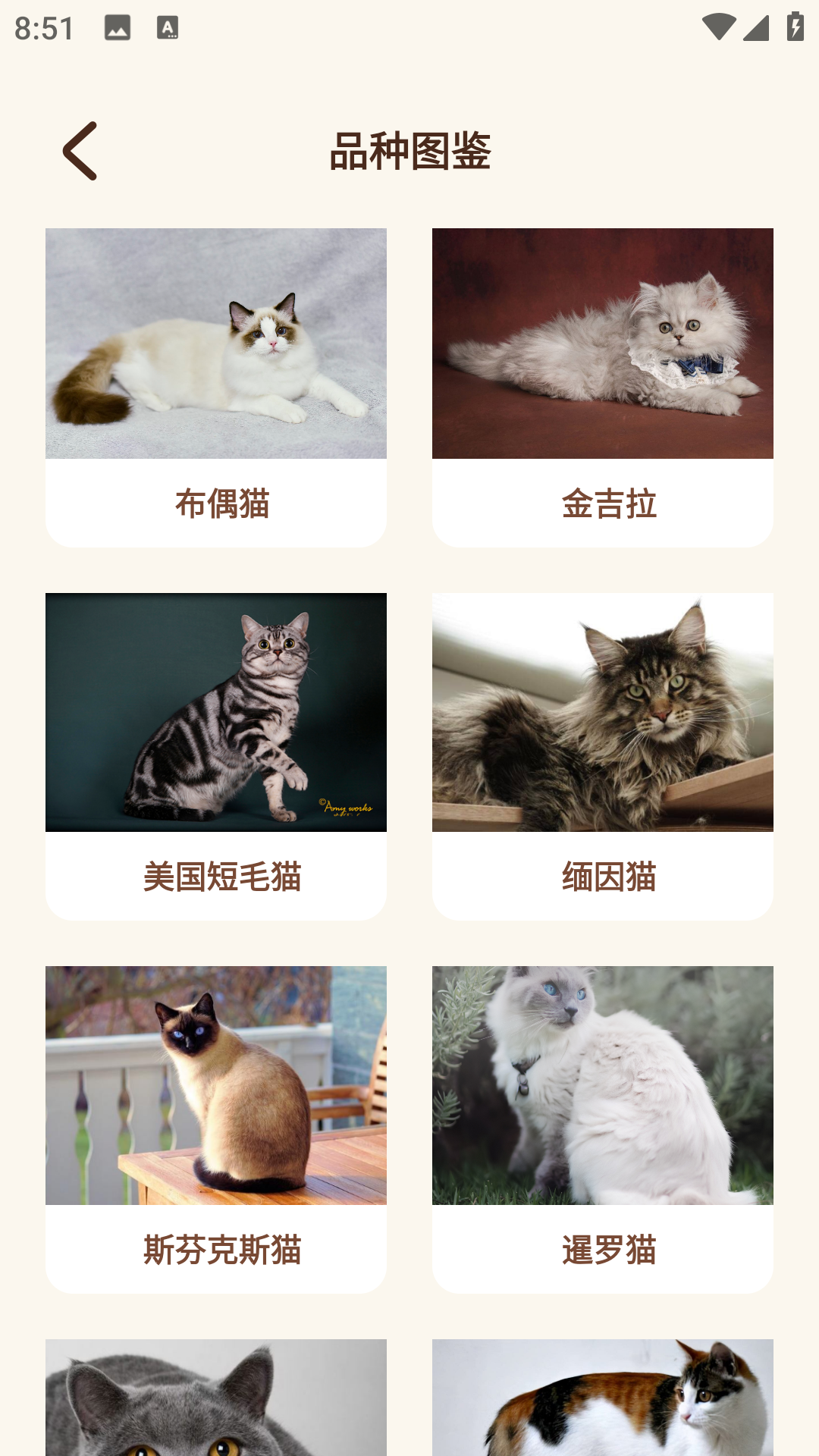 peppycat猫语翻译器截图4
