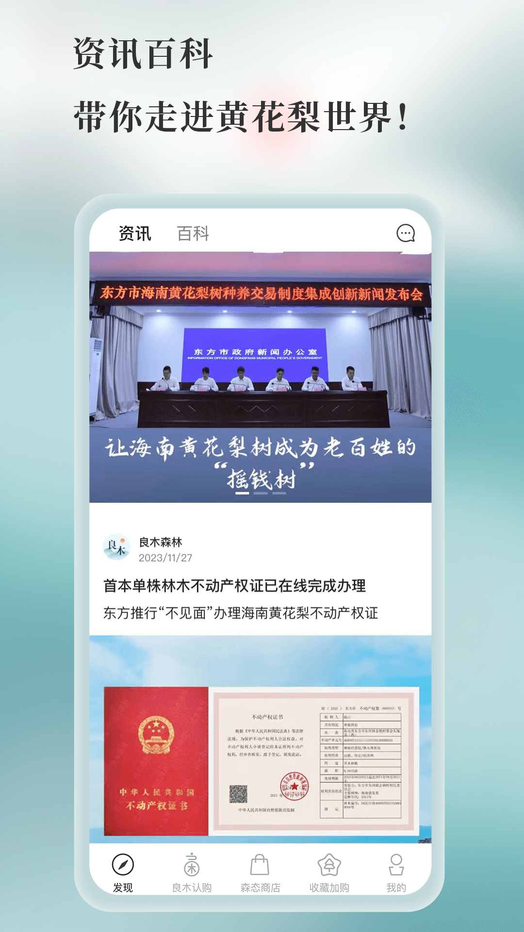 良木森林截图1