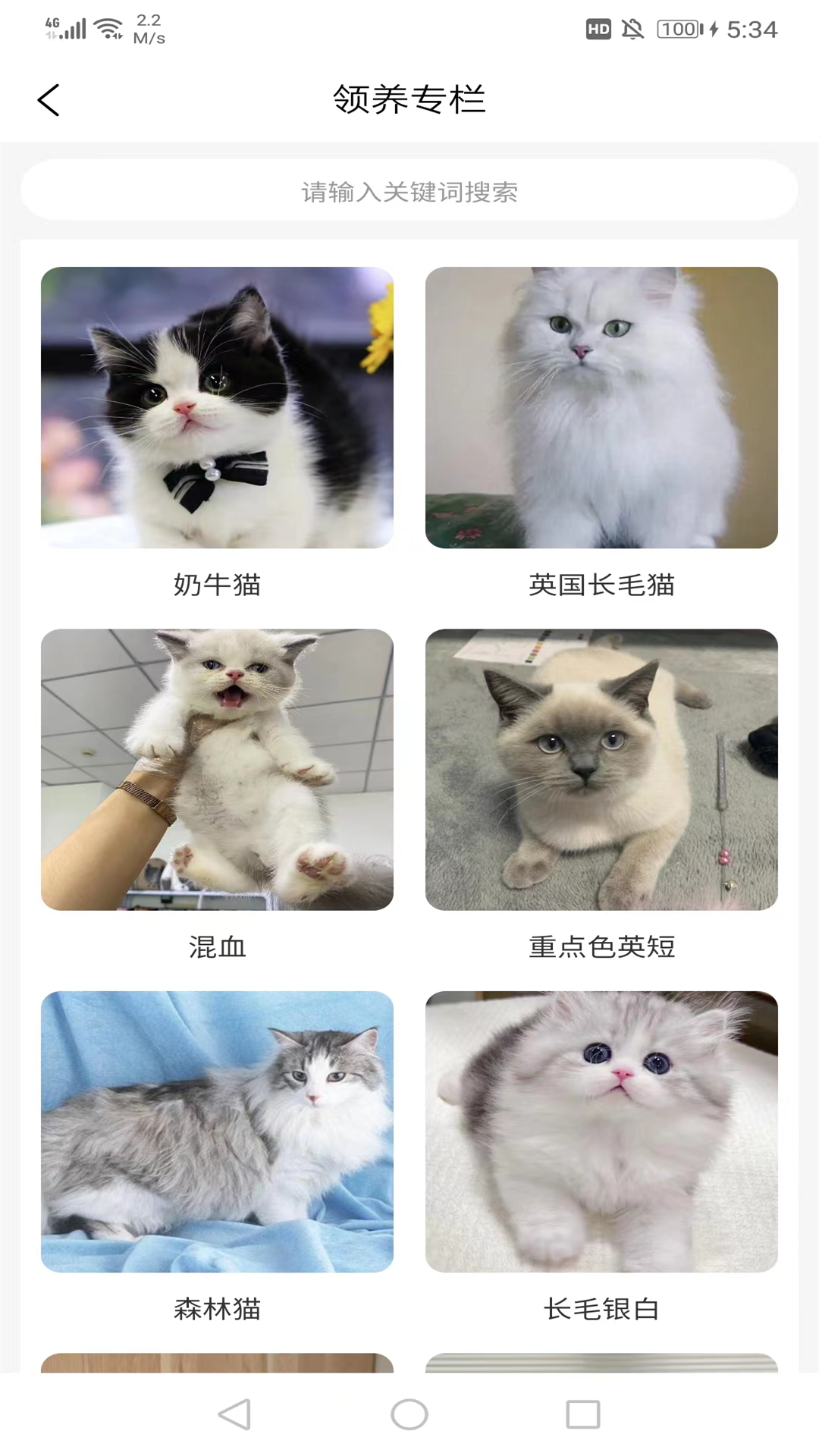 宠哩吖商城
