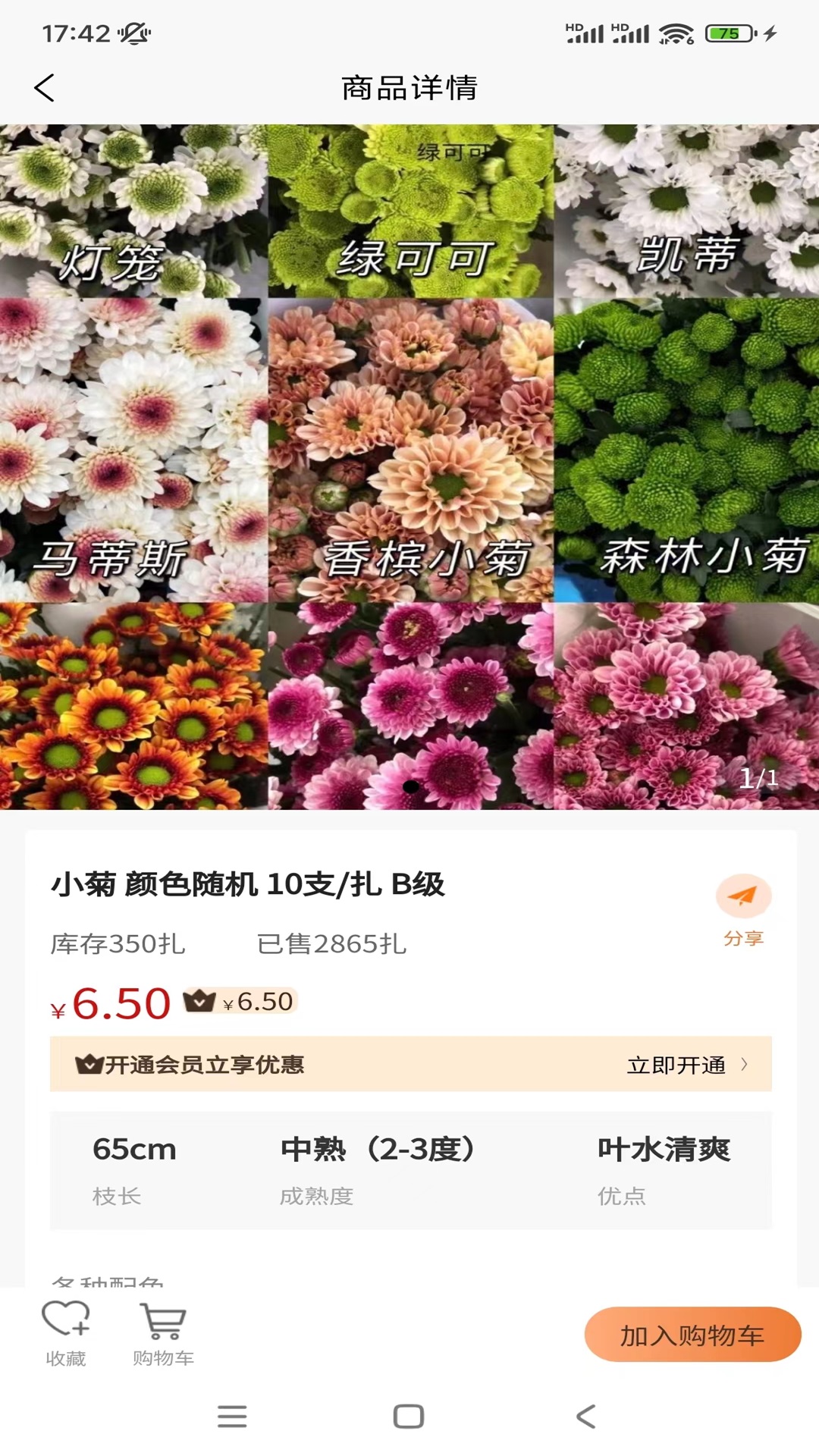 卖花人截图1