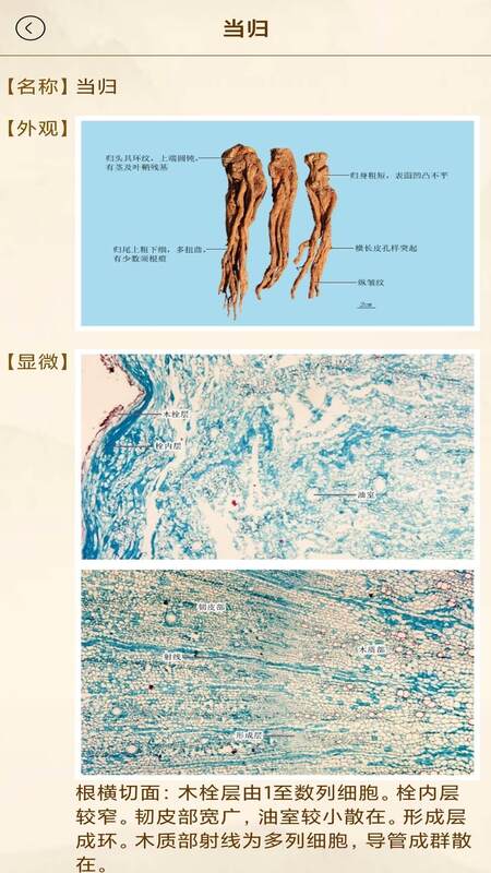 中医方歌截图3