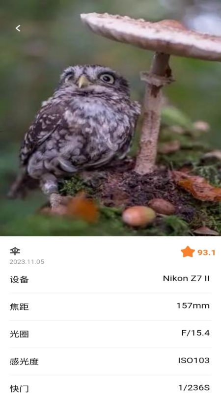 潮流秀