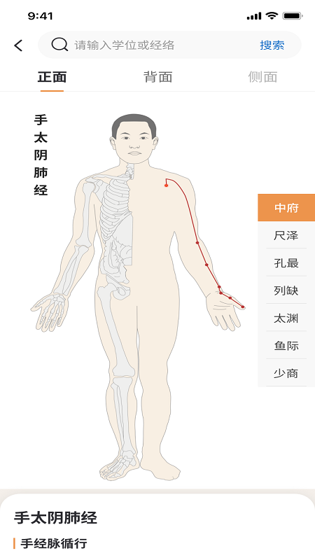 泰邦针灸选穴截图2