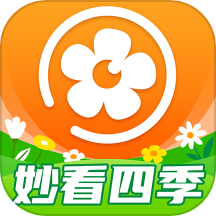妙看四季