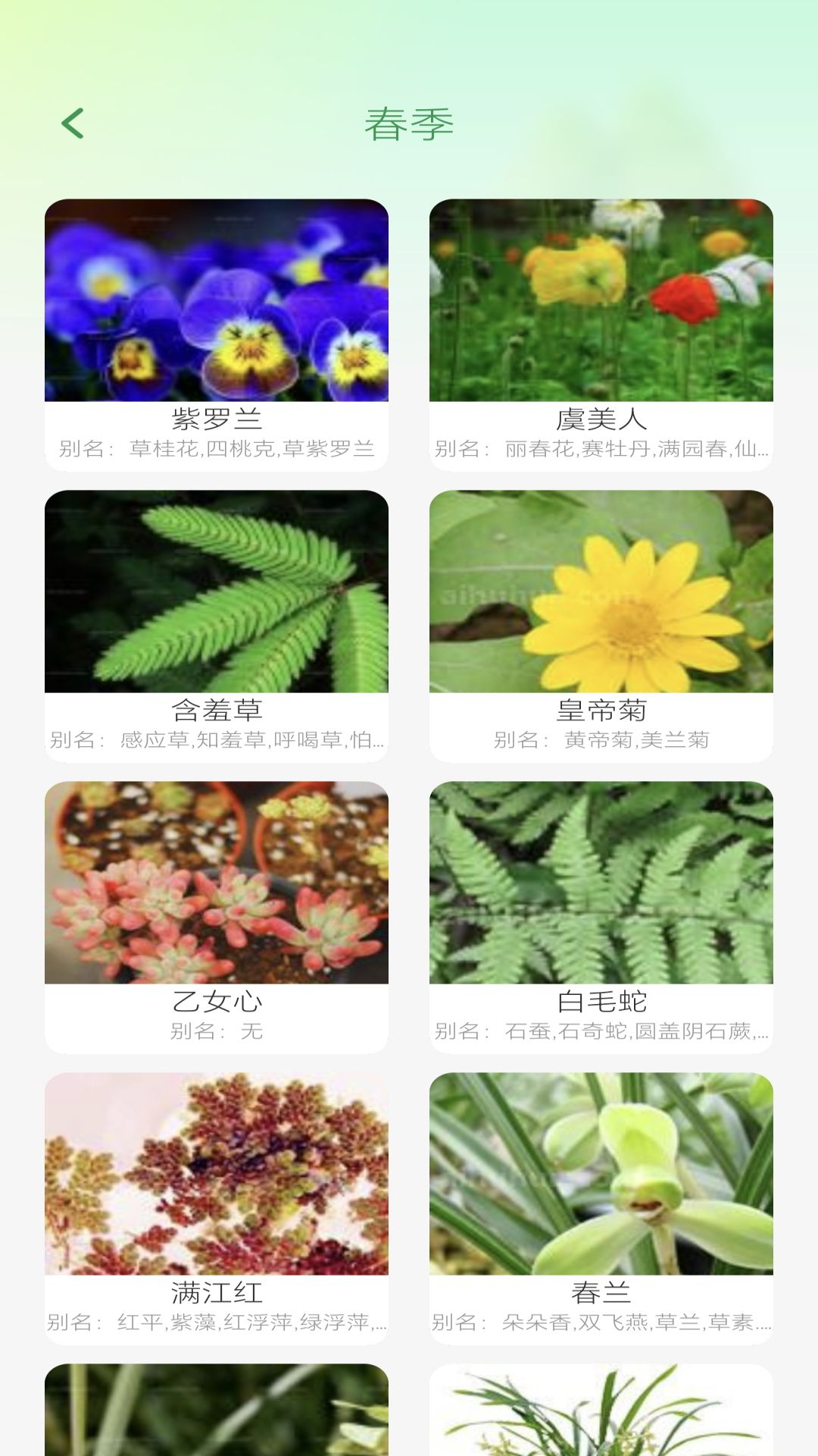 妙看四季截图3