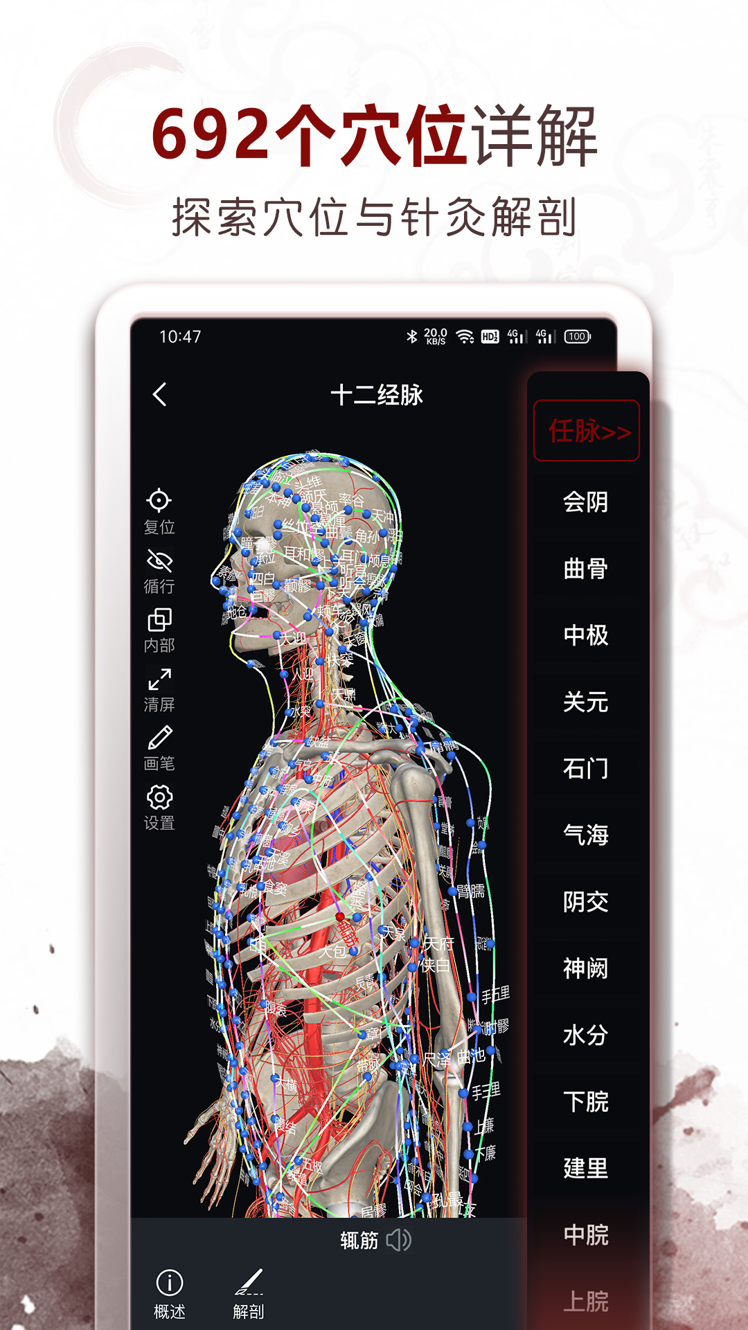 中医经络穴位截图3
