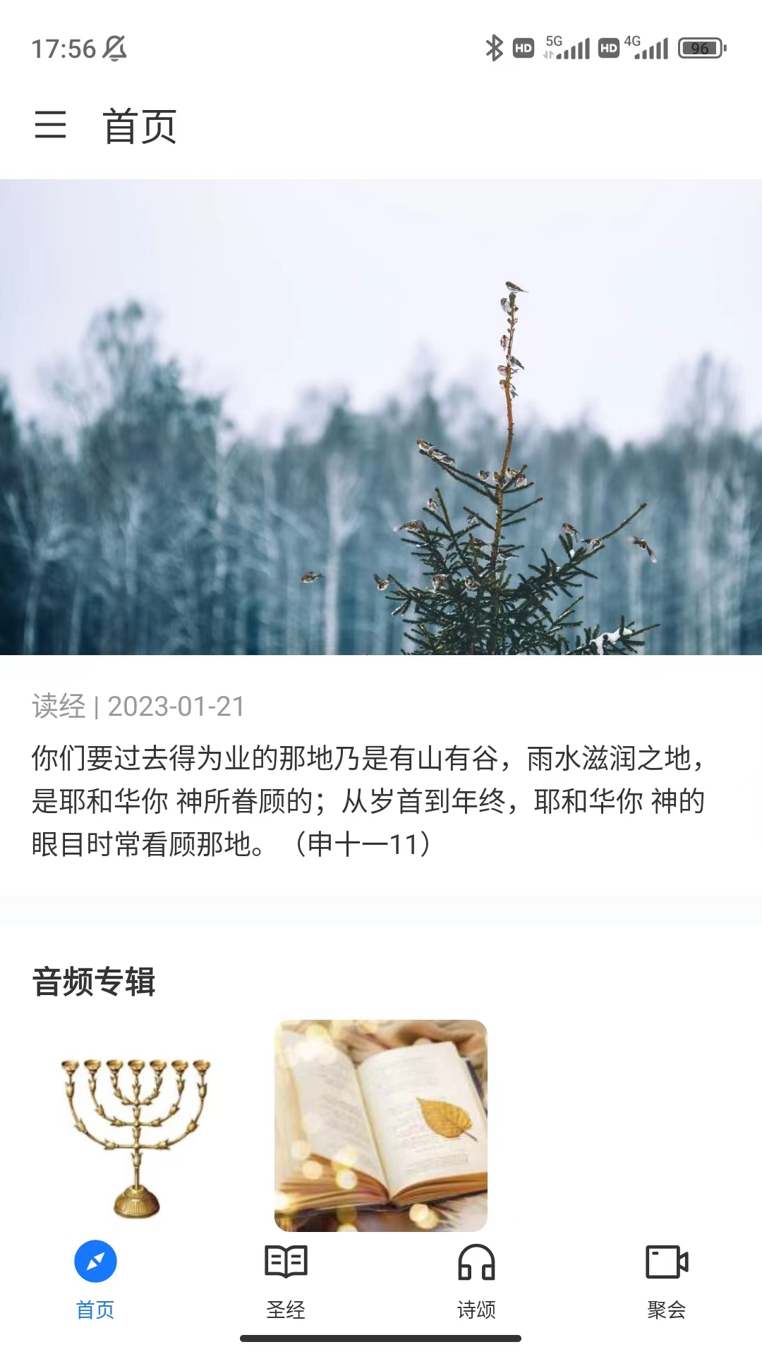 金灯台截图1