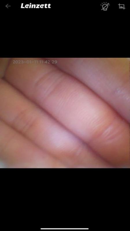 莱恩瑟特截图3
