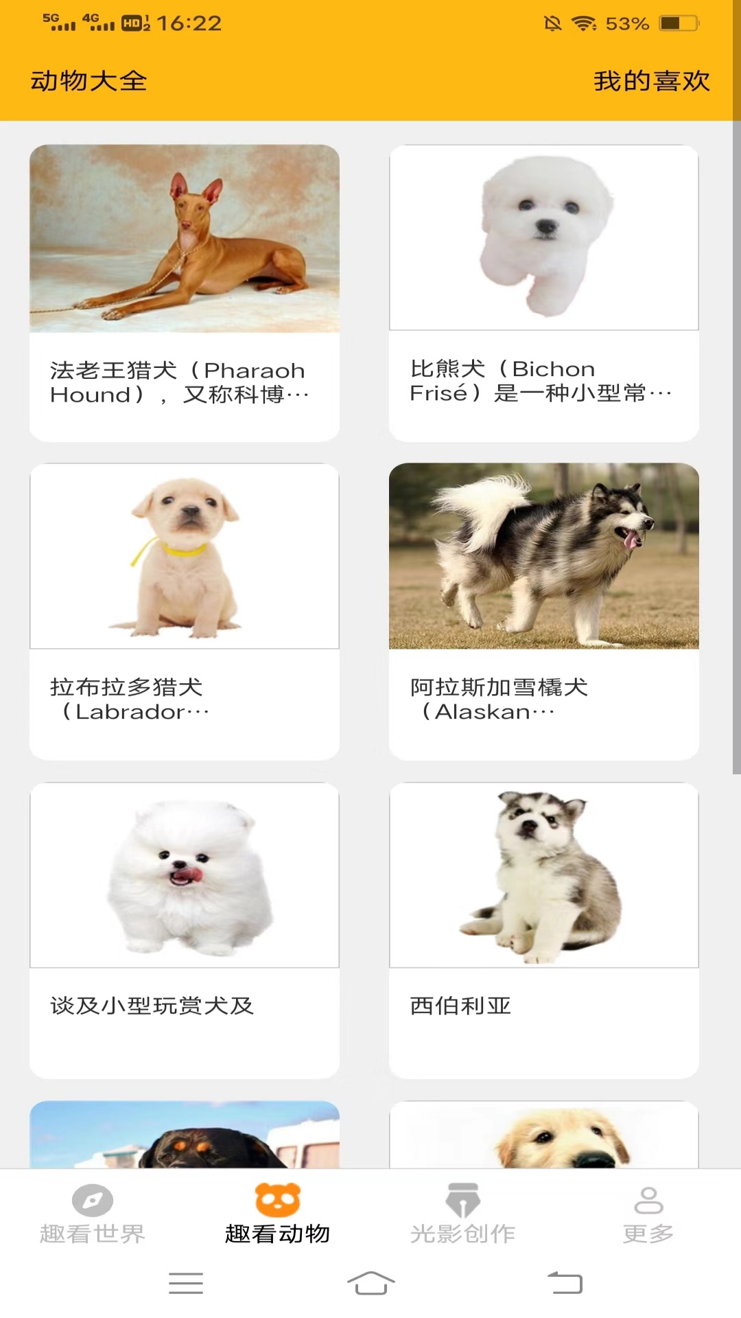 光影趣看截图3