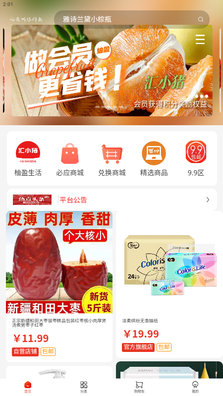 汇小猪
