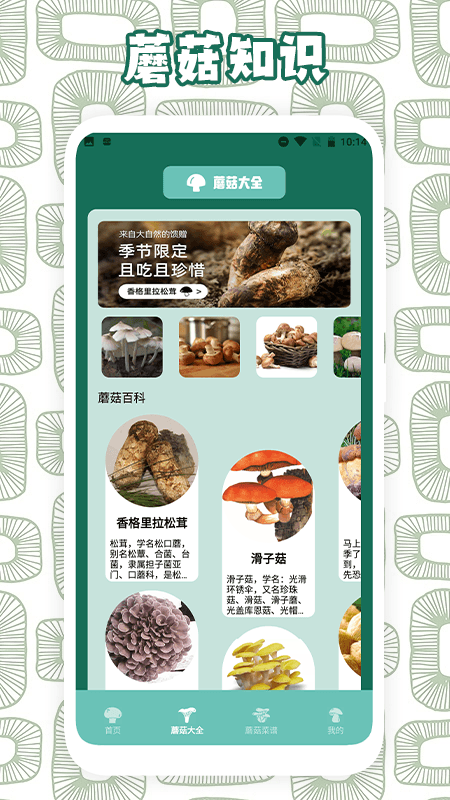 蘑菇识别截图2