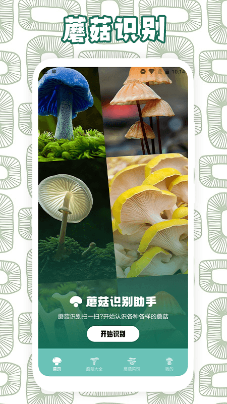 蘑菇识别截图1