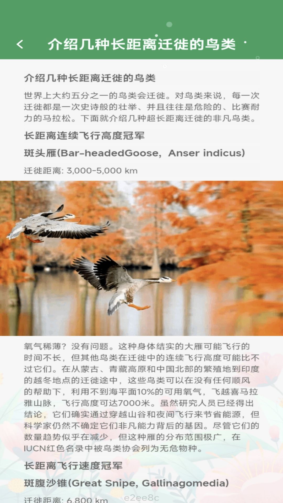 缤纷视界截图2