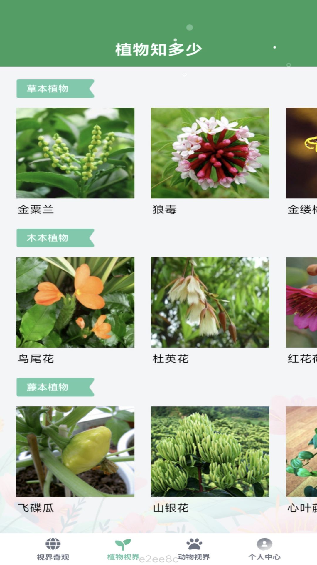 缤纷视界截图3