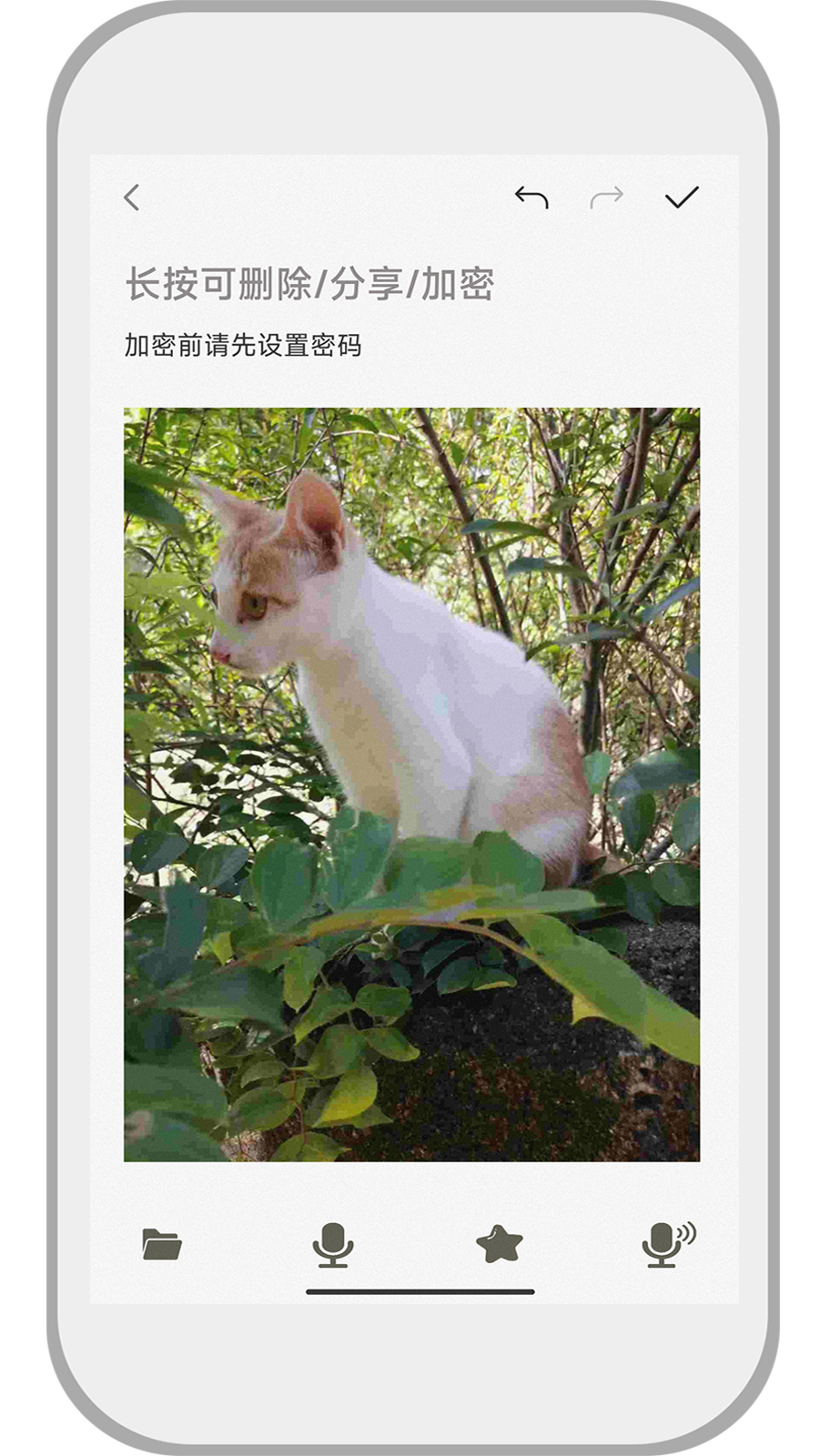 速记备忘录截图2