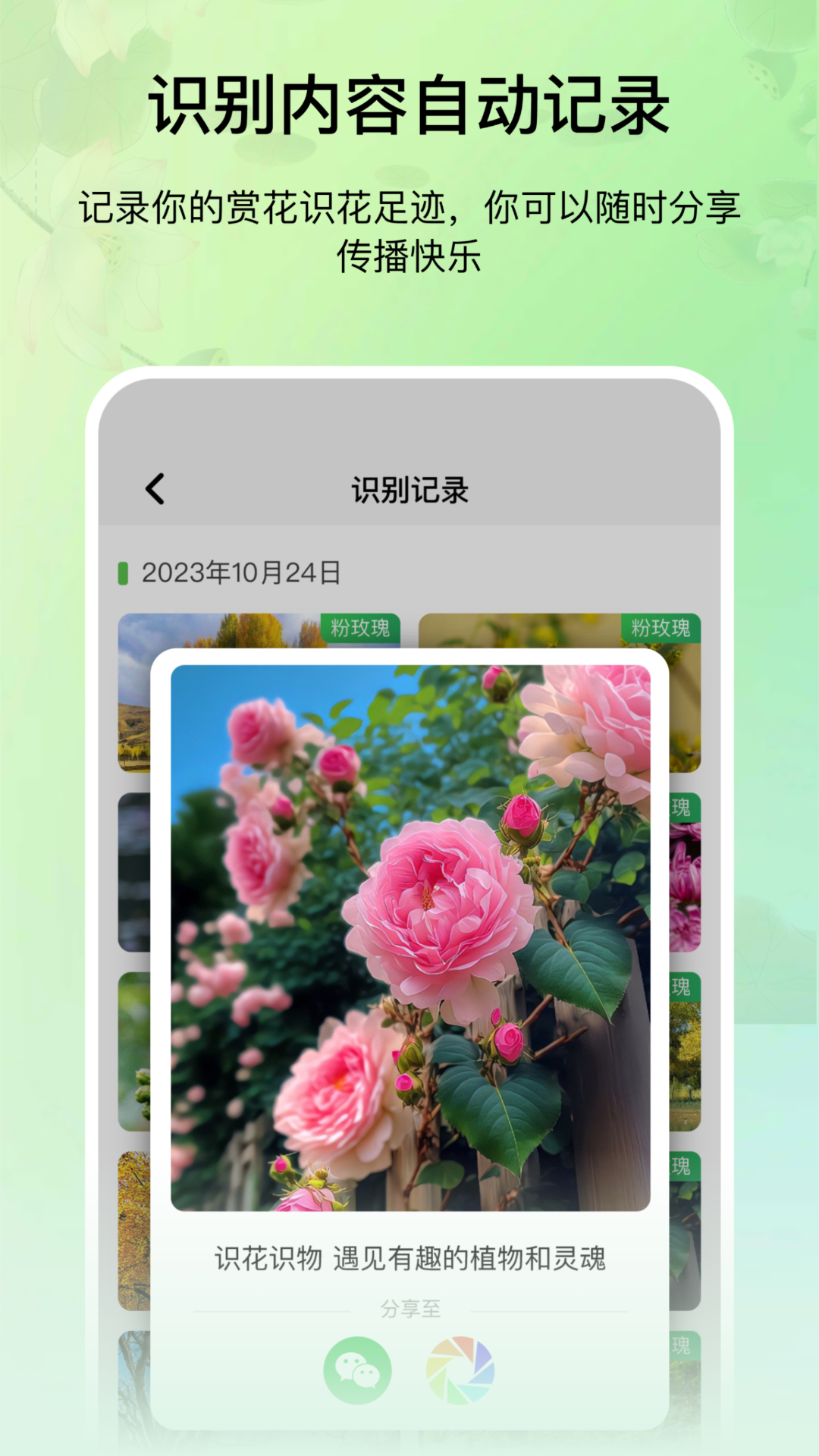 花卉识别图鉴截图3