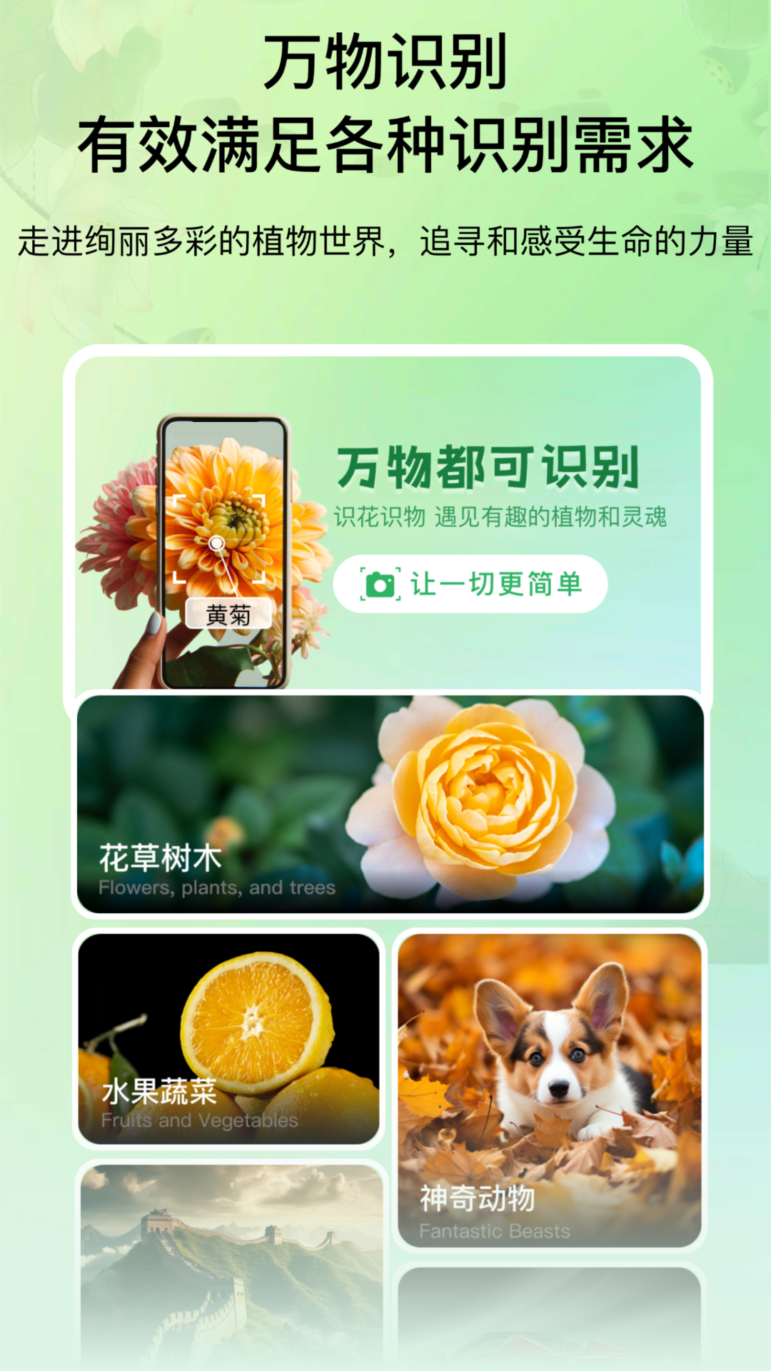 花卉识别图鉴截图4