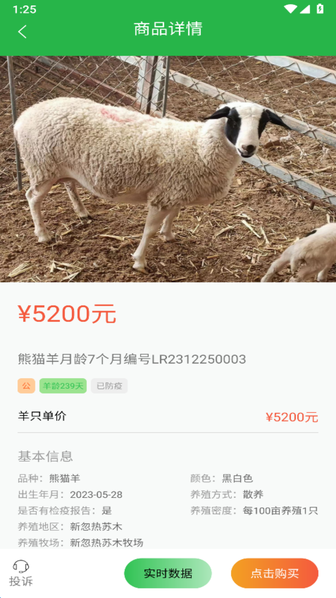 我在草原有只羊截图4