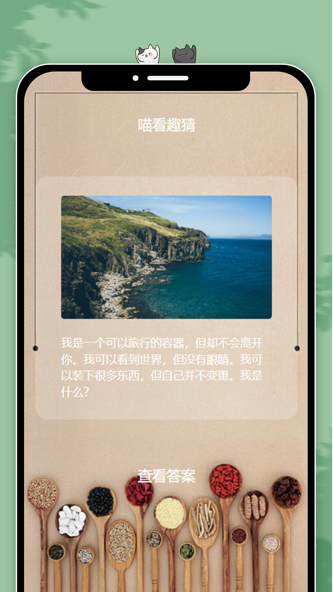 喵看趣刷