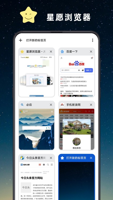 星愿浏览器截图3