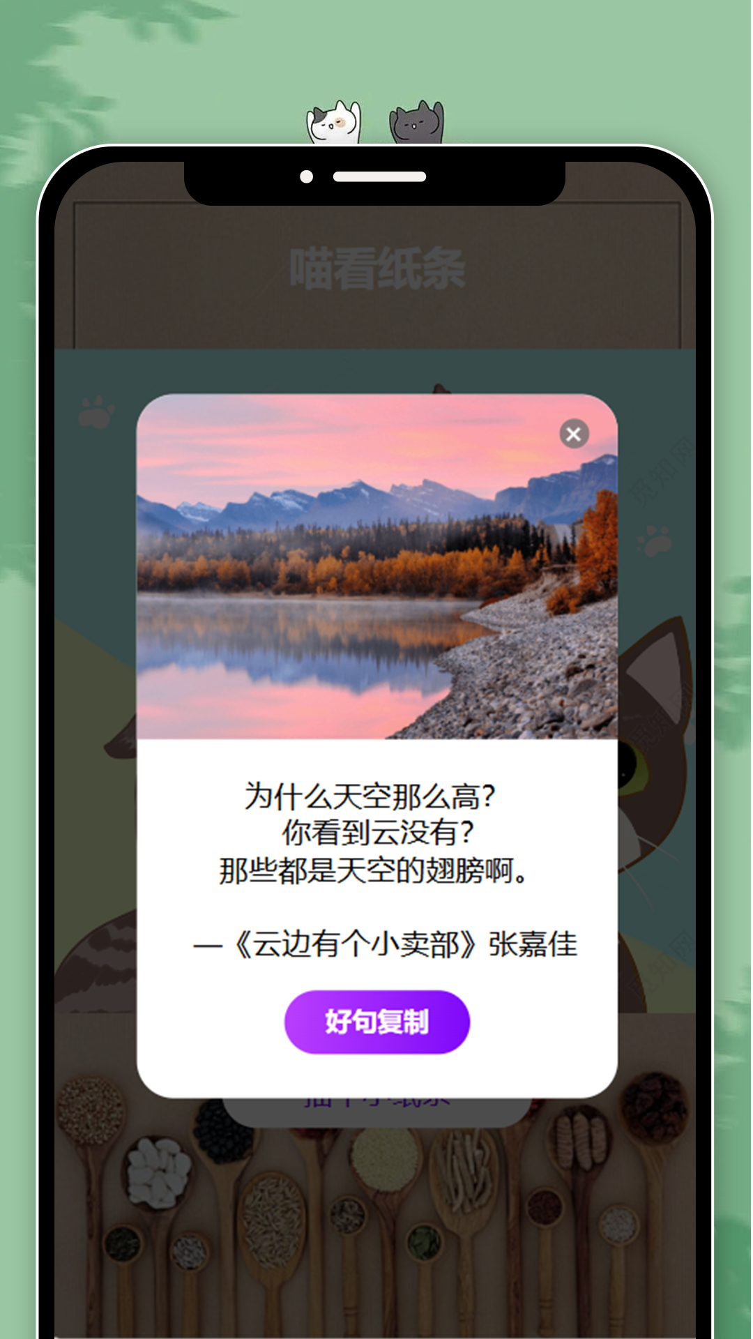 喵看趣刷