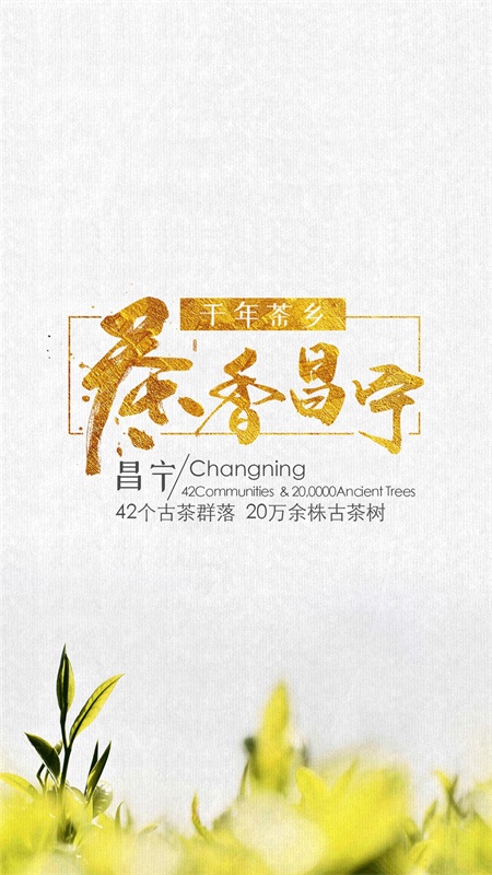 茶香昌宁截图1