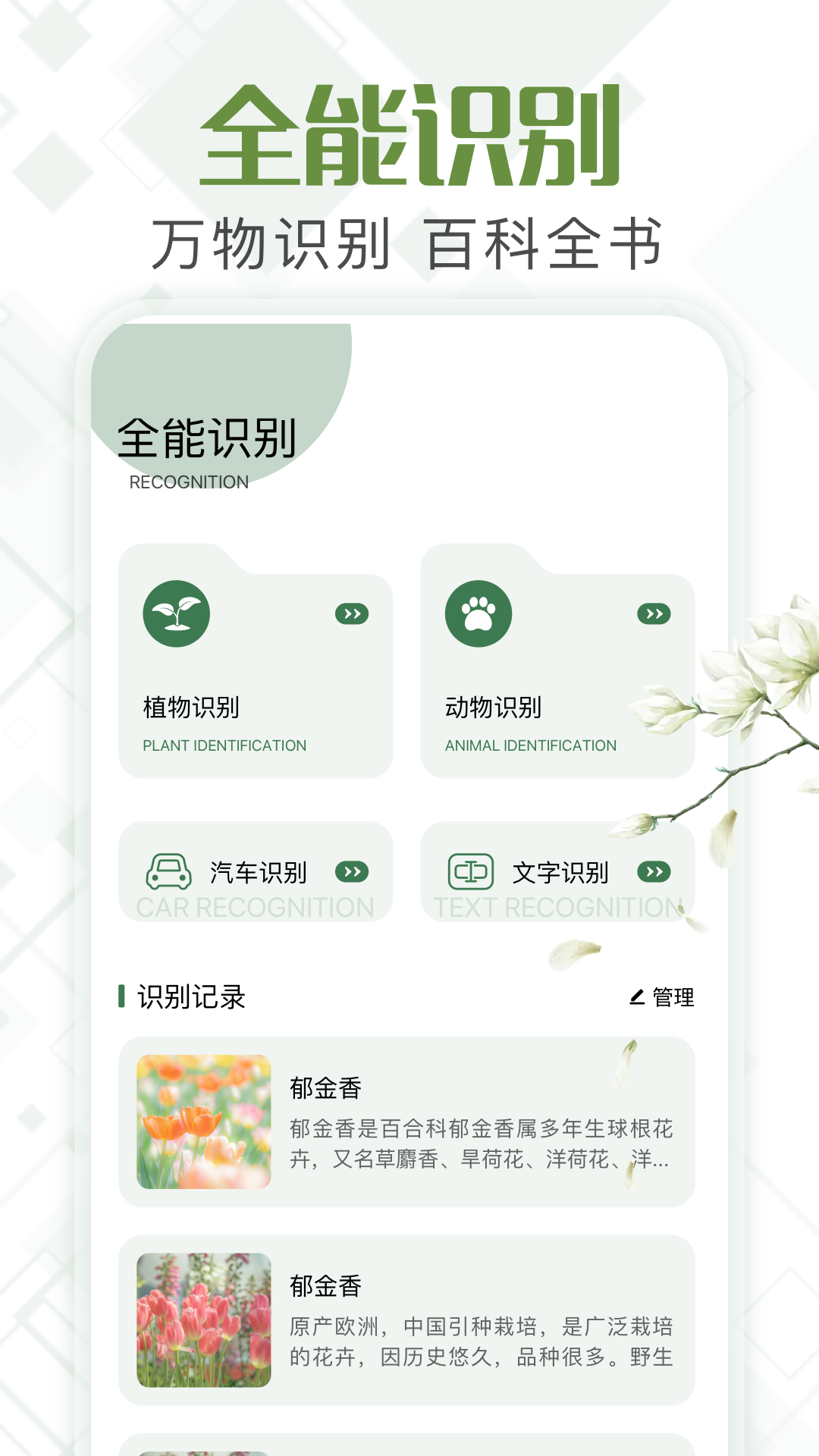 甲壳虫工具箱截图4
