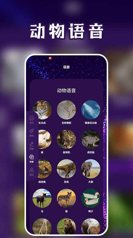 畸形动物园