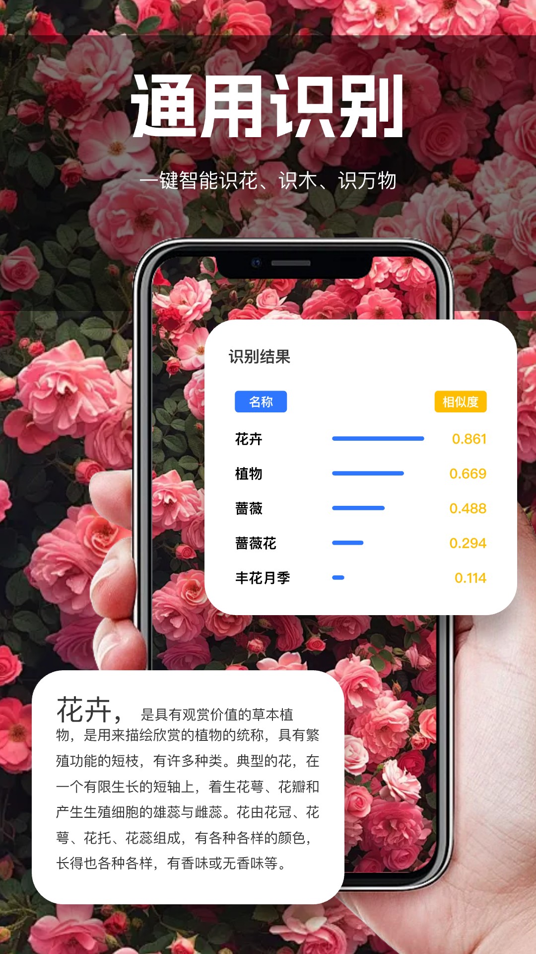 小熊扫描截图2