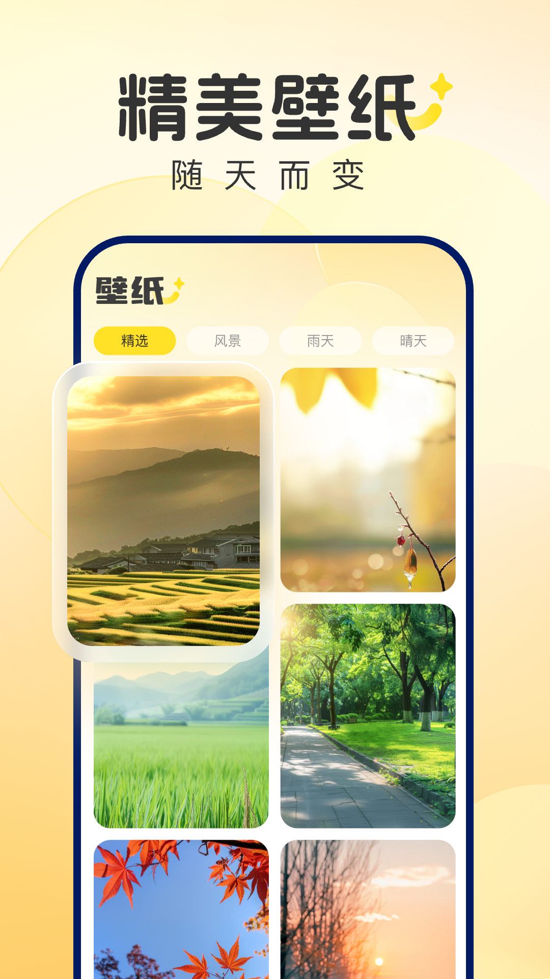 风雨天象截图1