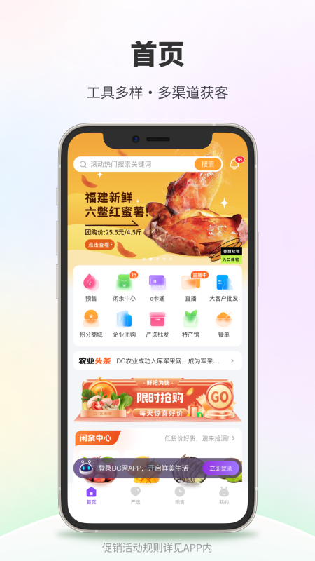 dc网截图1