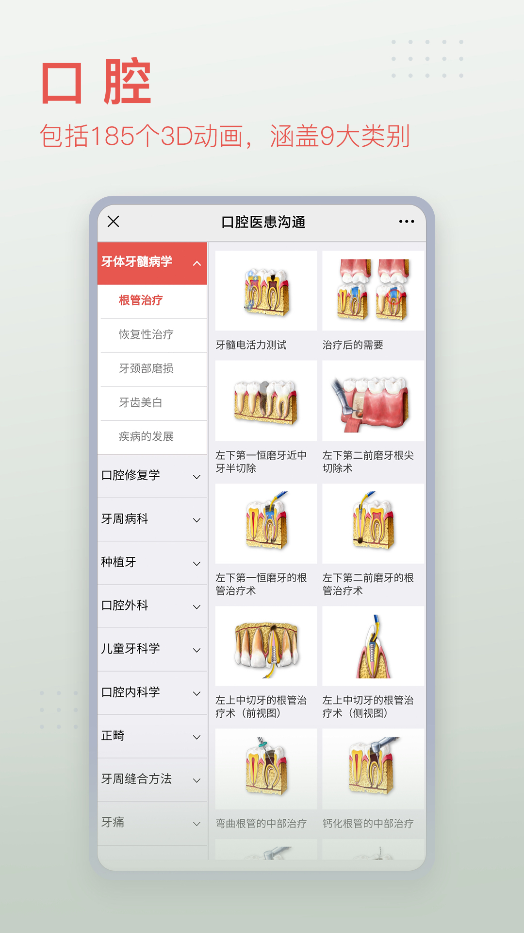 3dbody解剖