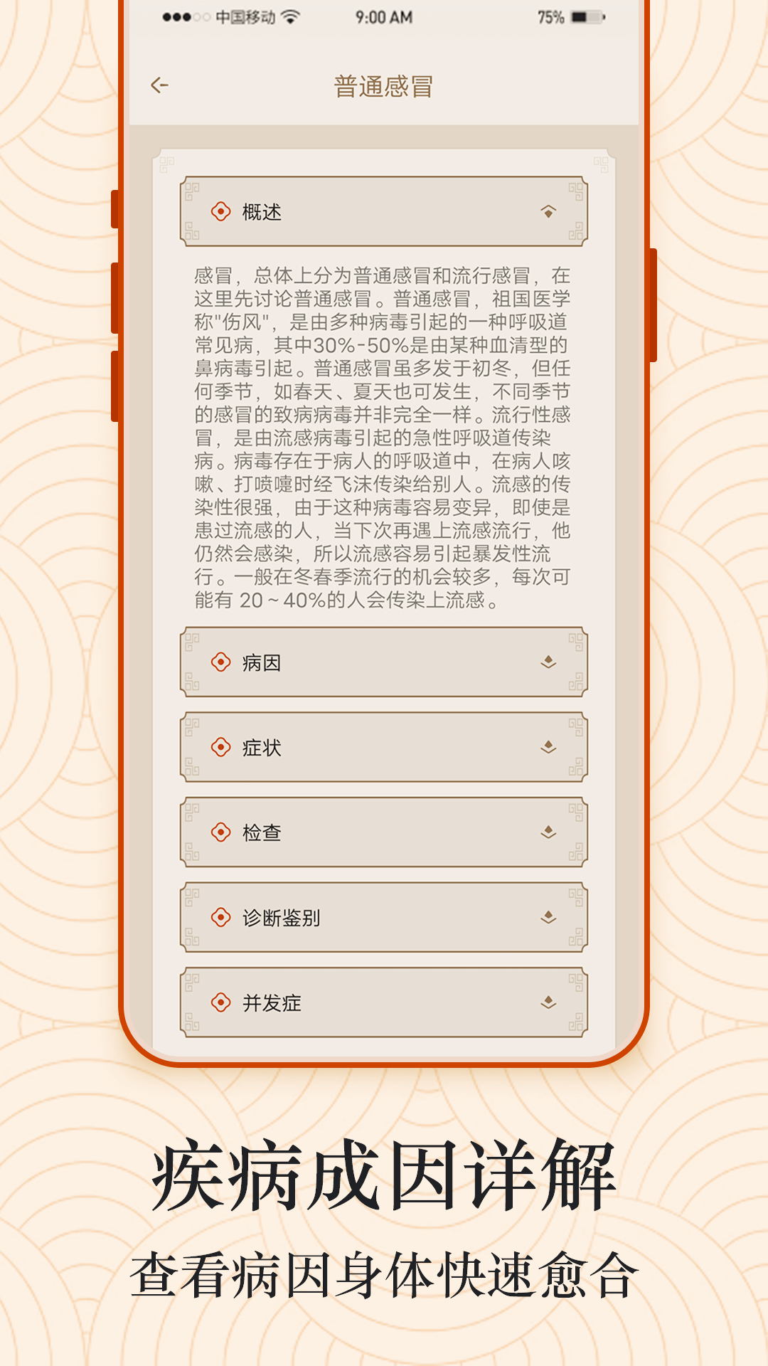 经络图解