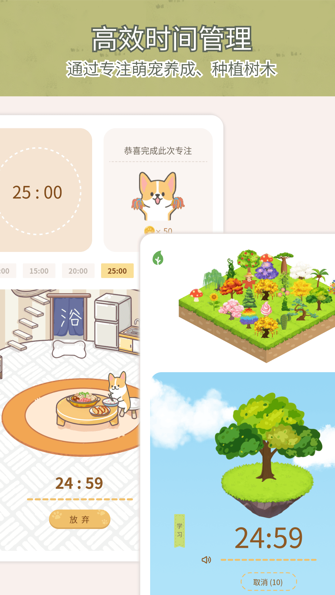 todo计划