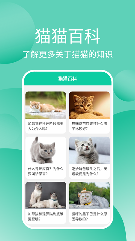 猫猫交流器截图2