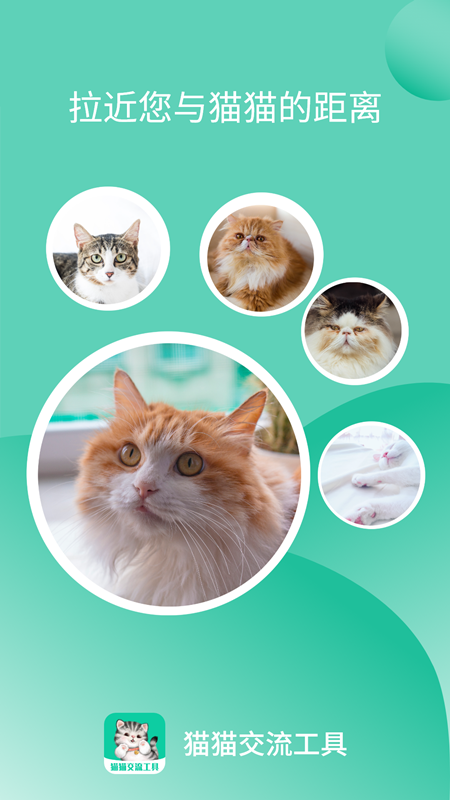 猫猫交流器截图1