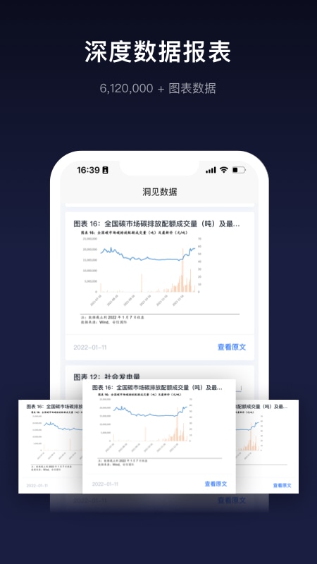 洞见研报截图2