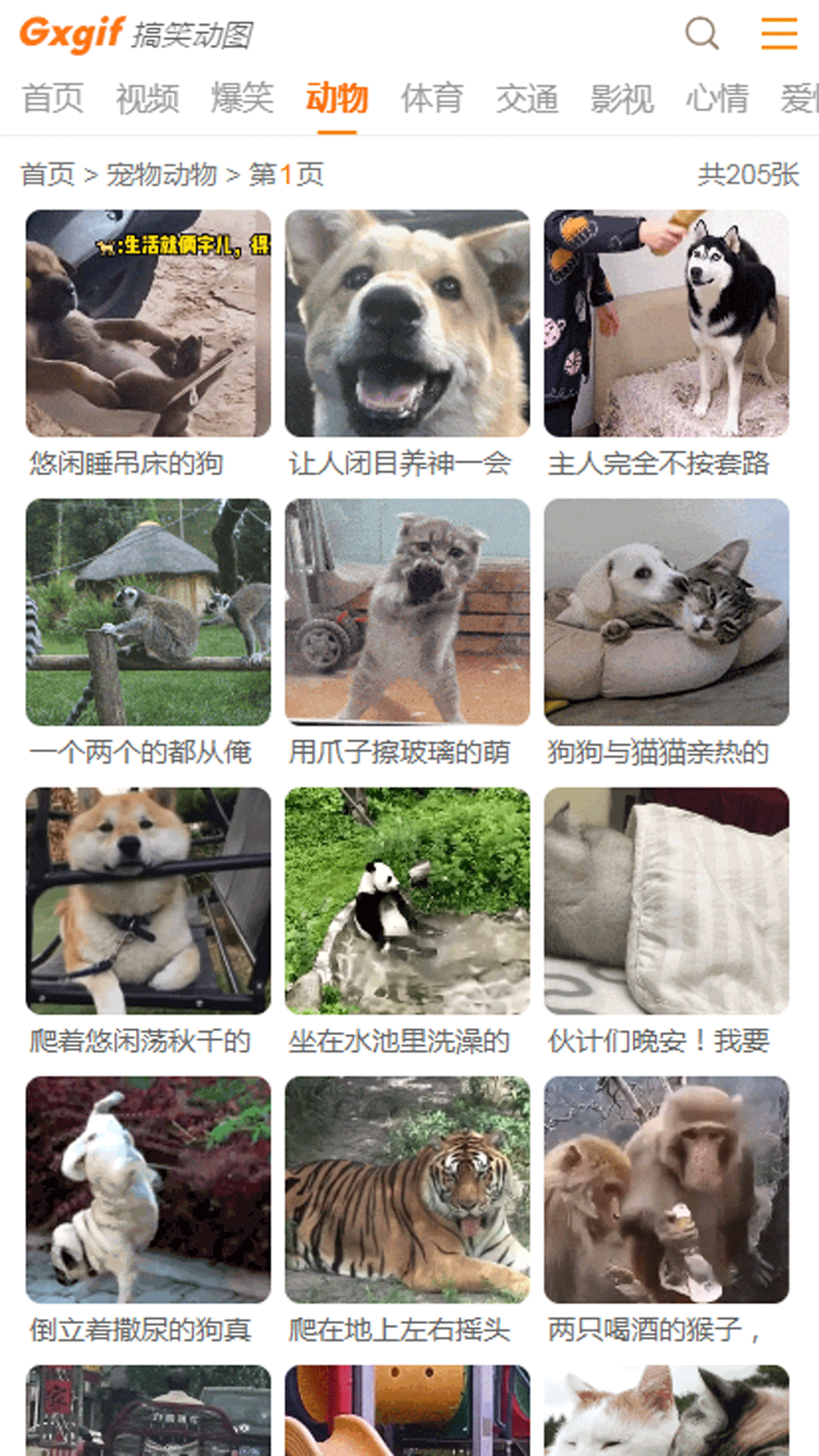 搞笑动图截图3